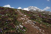 29 Sentiero Rifugio Capanna 2000